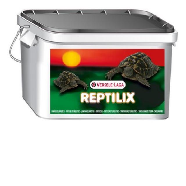 Reptilix tortues terrestres 